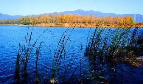 盘点北京38个森林公园,定个小目标完整版免费