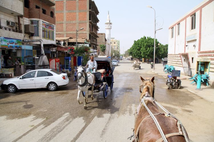 嗨哩文旅丨阿拉伯沙漠明珠、古埃及掠影