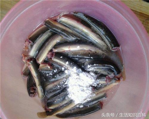 它被称为“水中之参”才20元一斤，撒上椒盐炸着吃香脆可口