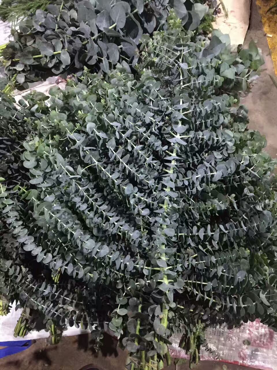 看了这些图，下次去花店你就能把花店里的花花草草叫出名字来了！