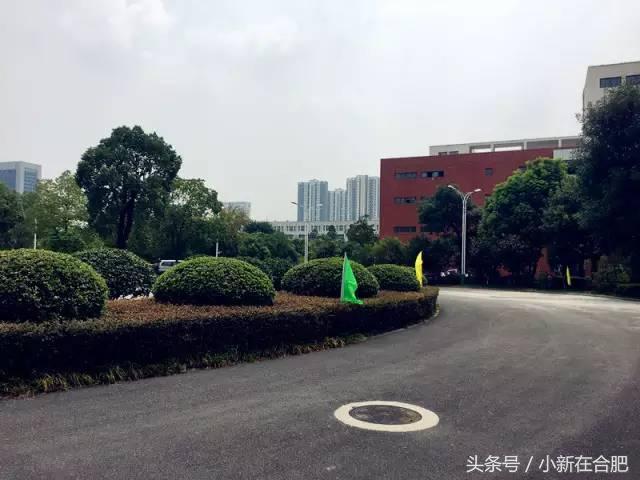 合肥46中本部升学率,贾秀英老师合肥46中