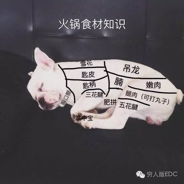 关于国潮的视频,有关国潮