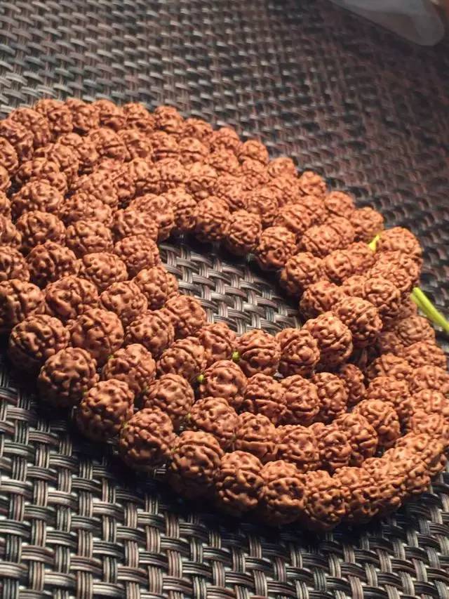 金刚圈子里混三年，这些品种都够呛能认全！