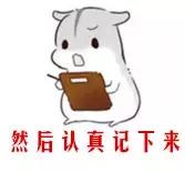 kissme睫毛膏和悦诗风吟睫毛膏,innisfree悦诗风吟极细睫毛膏