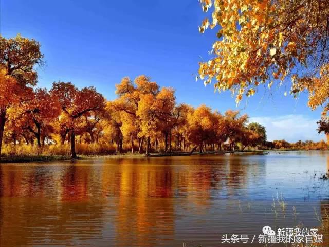 全国各省：我出上联！*疆新**丫头：我对下联！太有才了！