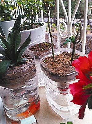 如何用塑料瓶做花盆图解,怎么用塑料瓶做花盆图解