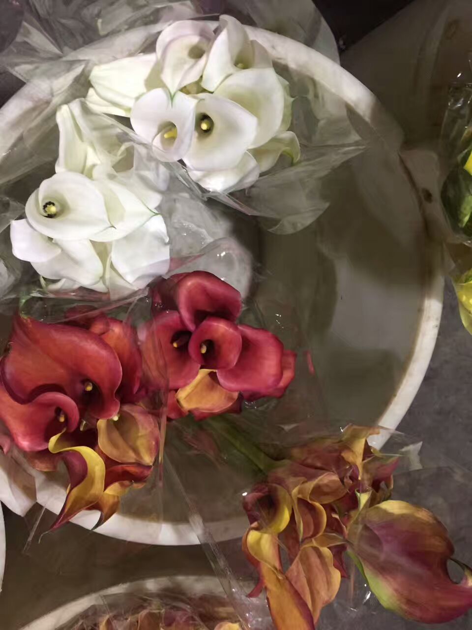 看了这些图，下次去花店你就能把花店里的花花草草叫出名字来了！