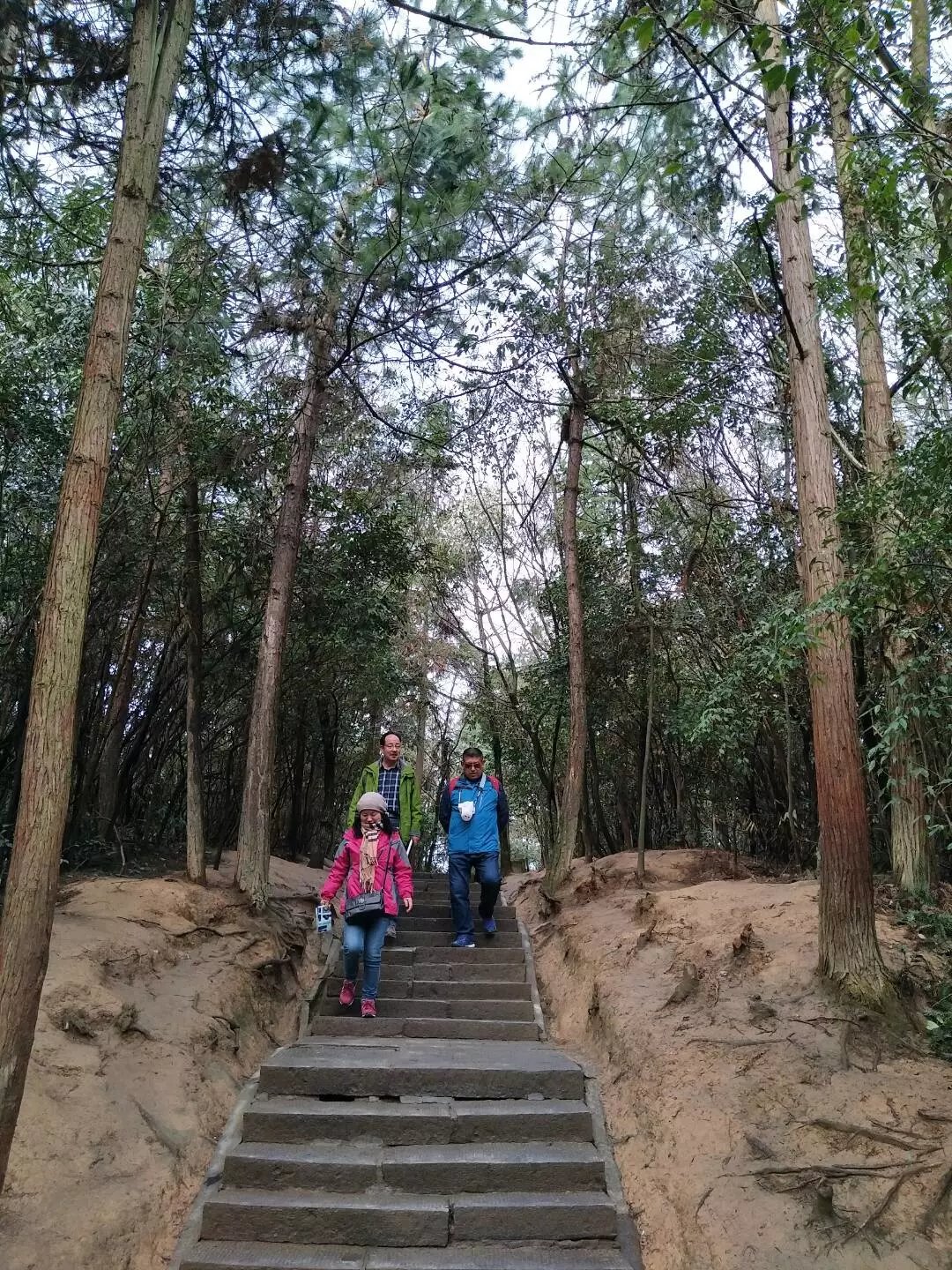 湖南老年人旅游攻略,老人湖南旅游攻略