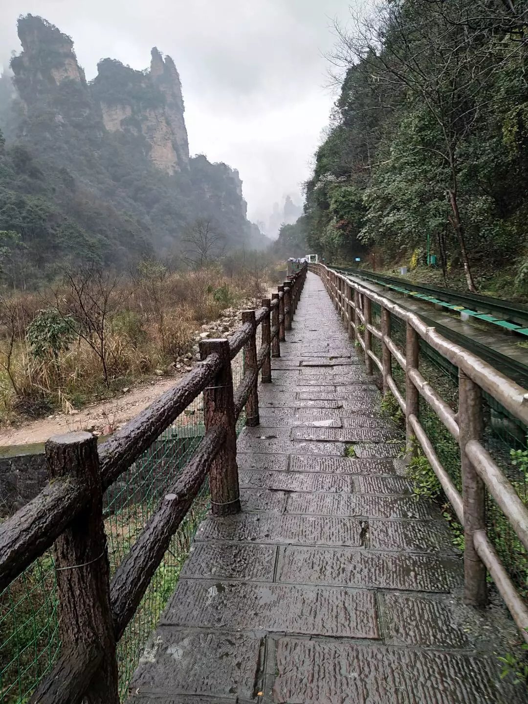 湖南老年人旅游攻略,老人湖南旅游攻略