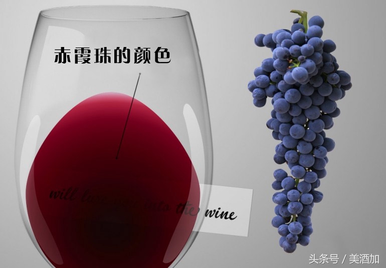 三十岁以后的酒,30多岁喝葡萄酒有什么好处