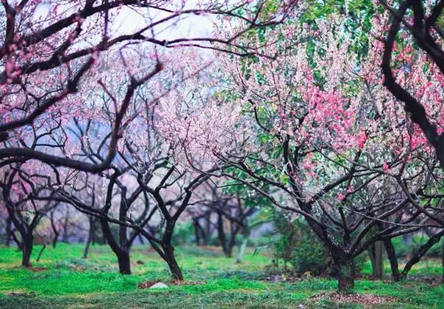 报告老板，我要逃离北京，我请假的的理由是……
