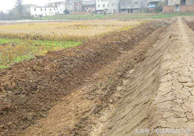 泥鳅养殖网箱视频,泥鳅黄鳝网箱养殖视频