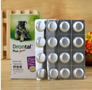 德国牧羊犬拉稀怎么办、德国牧羊犬反复拉肚子怎么办