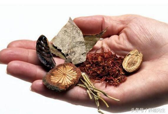 在农村种植或养殖什么比较赚钱,农村闲置土地种植什么赚钱