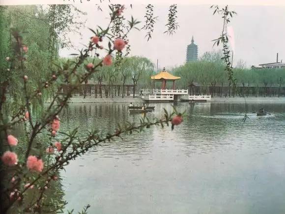 那一年的北京，我们再也回不去了！记忆中的老北京