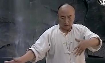 太极宗师哪些是真正的高手,少林蛇形刁拳螳螂拳鹰爪拳
