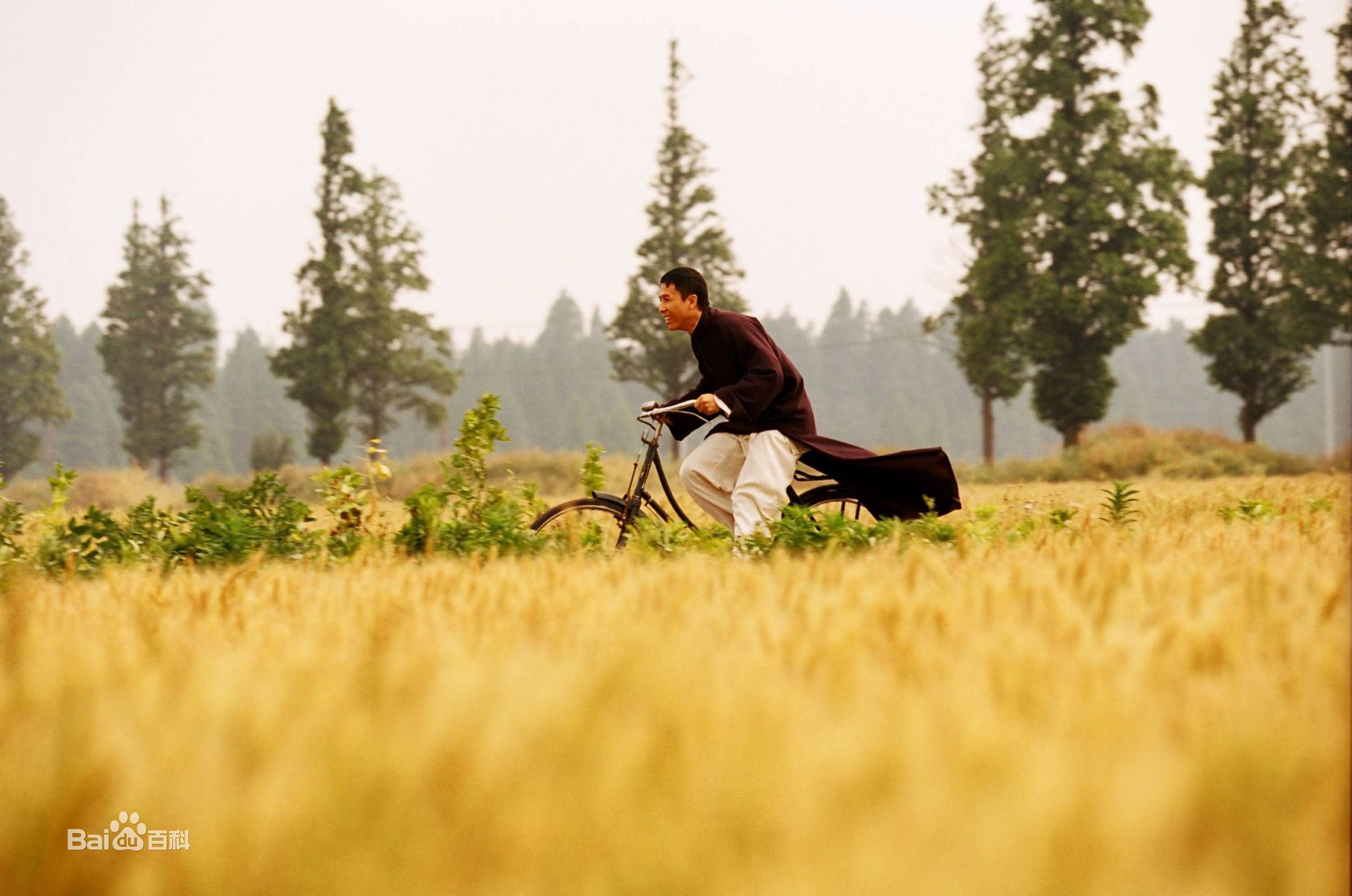 电影个人说：“十大亚洲评价最高动作电影（三）”