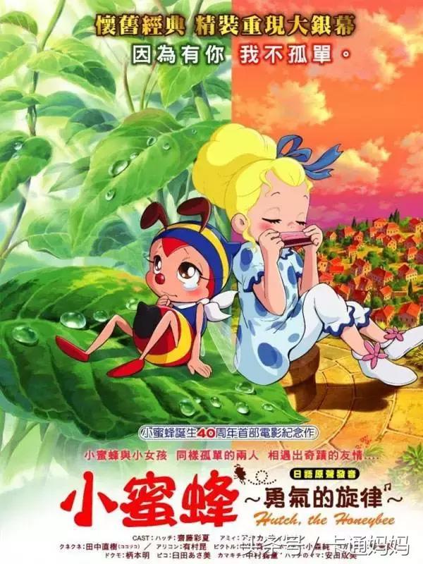 昆虫的微观小世界,微观世界每只昆虫都有它的故事