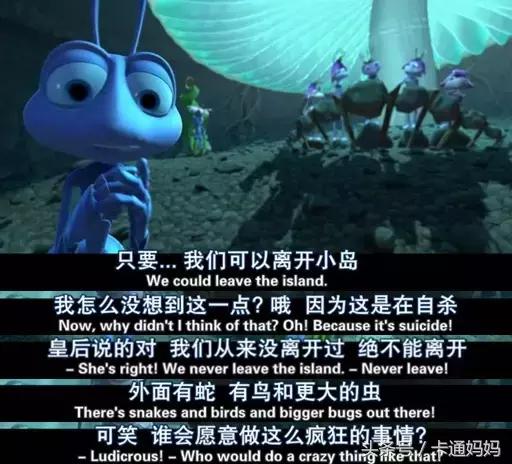 昆虫的微观小世界,微观世界每只昆虫都有它的故事