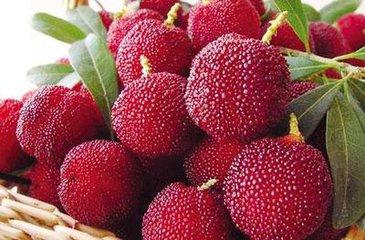 杨梅果酒酿酒技术教程大全,杨梅果酒用什么酒做法好喝