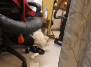 少年，像这样真的就能找到媳妇吗？我也要去买块牌子！