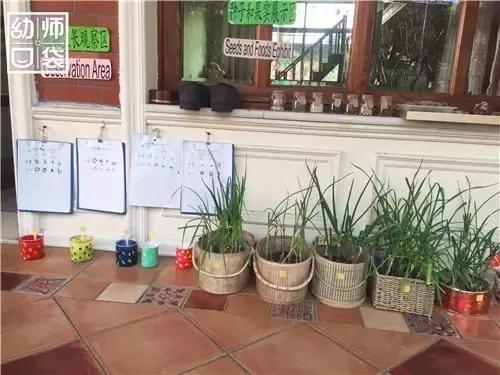 幼儿园如何打造自然区角的环境,复古自然角幼儿园