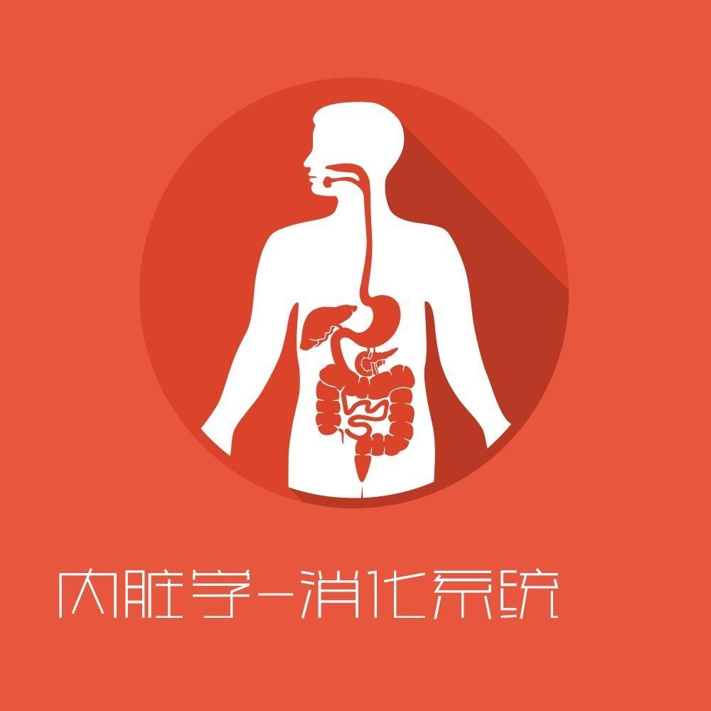 消化系统的知识口诀,关于消化系统的小知识