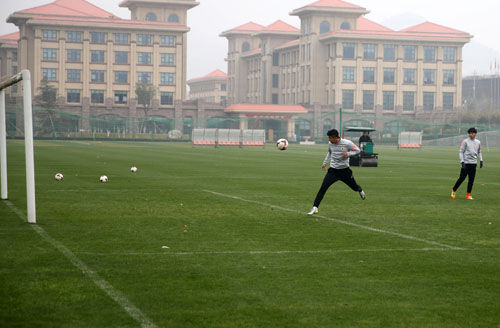 欧洲专业足球草皮,欧洲各个俱乐部的足球场变化