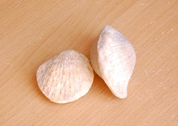 达特桑280zx变形金刚,达特桑280zx火柴盒