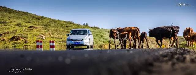 *疆新**，其实并不遥远（4）