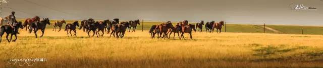 *疆新**，其实并不遥远（4）