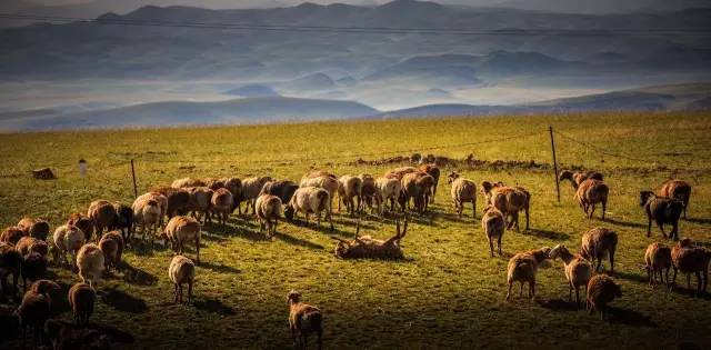 *疆新**，其实并不遥远（4）