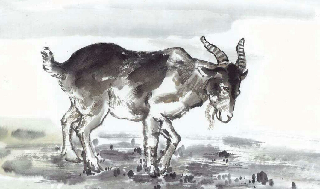 属相中三大属相指哪些,属相中的四大属相都是哪四个