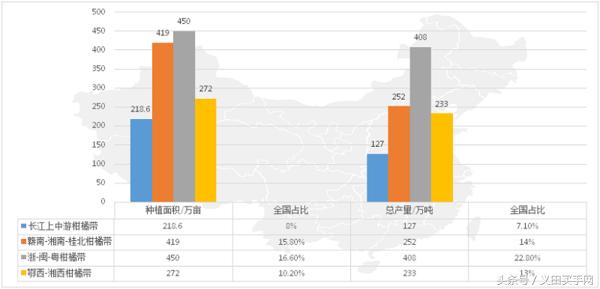 大型丑橘基地,稳坪何家寨丑橘基地