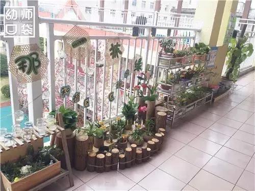 幼儿园如何打造自然区角的环境,复古自然角幼儿园