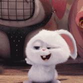 中膝靴怎么选,腿型靴子如何选择