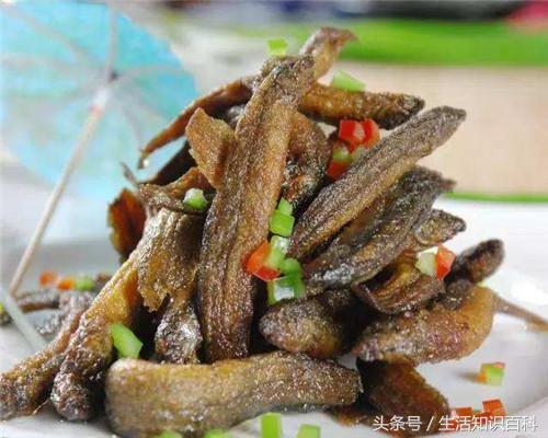 它被称为“水中之参”才20元一斤，撒上椒盐炸着吃香脆可口