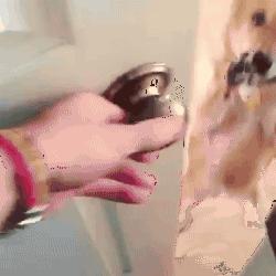 女生着火了怎么办,着火为啥不能用嘴吹