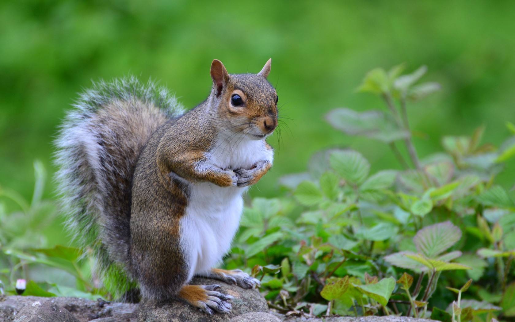 怎么才算真正的开光,法师讲开光的真正含义