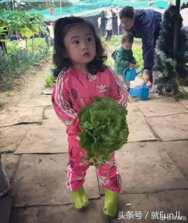 细数tvb的四大花旦现状,tvb女星现在的情况