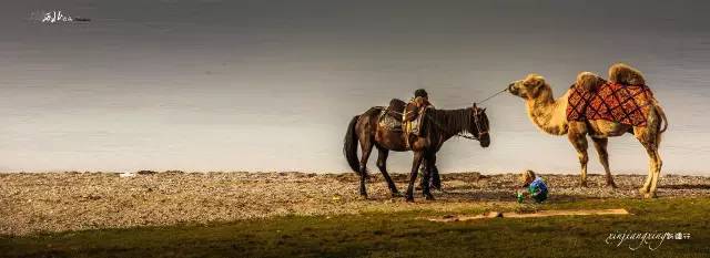 *疆新**，其实并不遥远（4）
