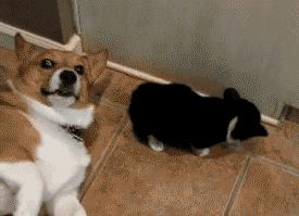 少年，像这样真的就能找到媳妇吗？我也要去买块牌子！