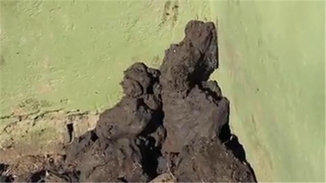 蜜獾平头哥日记,平头哥蜜獾越狱动画