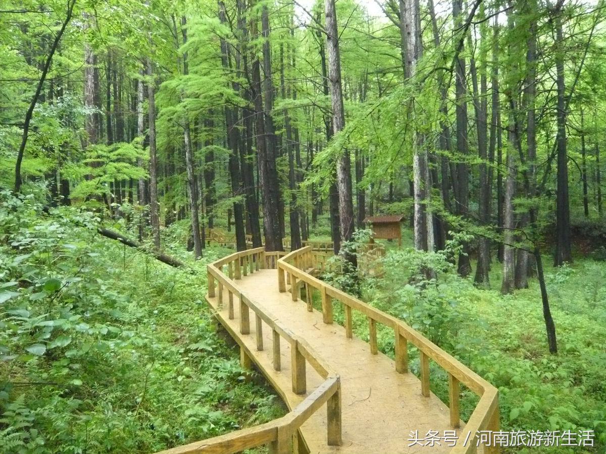 适合情侣河南旅游的地方,河南最适合情侣旅游的地方