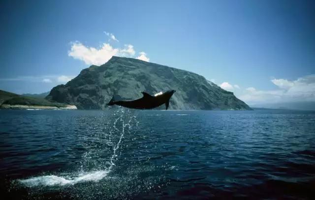 南美洲的神奇,南美洲神奇的地方