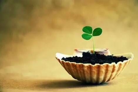 怎能不忘初衷,很多人都知道不忘初衷