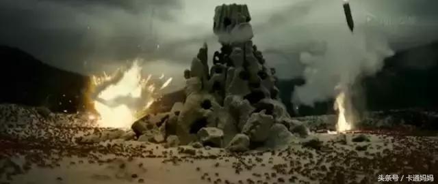 昆虫的微观小世界,微观世界每只昆虫都有它的故事