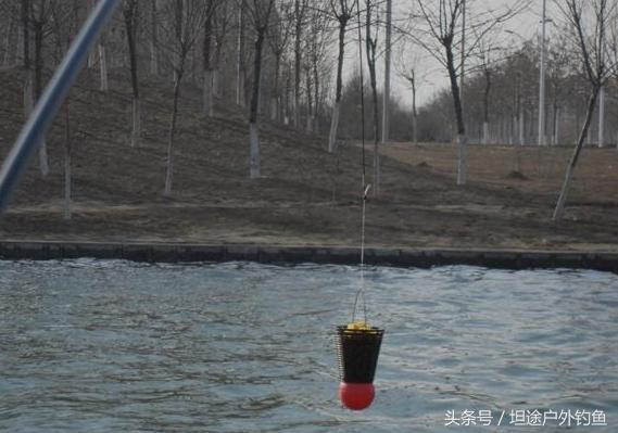 窝料大全和搭配,窝料搭配知识大全