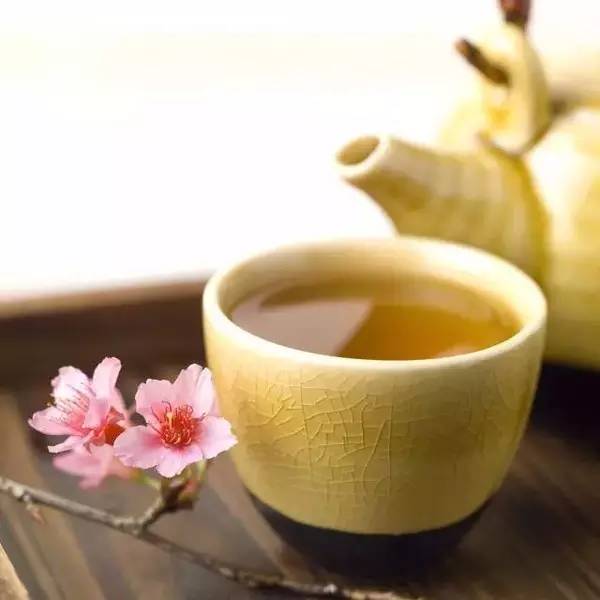 舌尖上的春天你推荐哪一道,舌尖上的春天你不能错过的美食