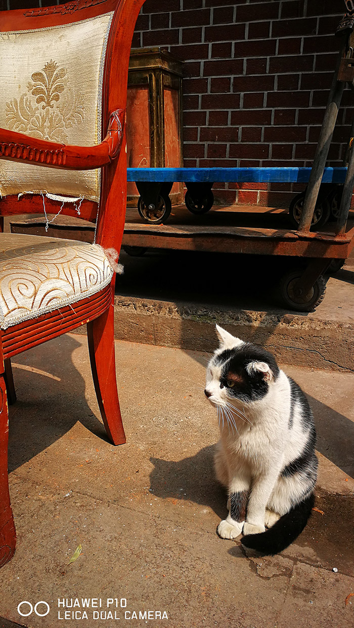 华为p10拍照测评,华为p10拍照测评对比